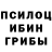 Псилоцибиновые грибы мицелий Mansoor313