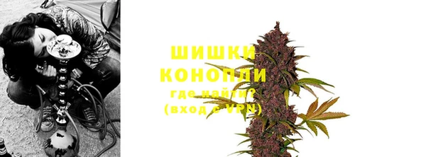 гашик Новодвинск