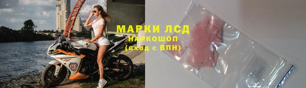гашик Новодвинск