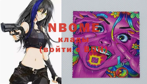гашик Новодвинск