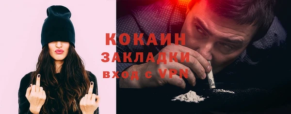 гашик Новодвинск