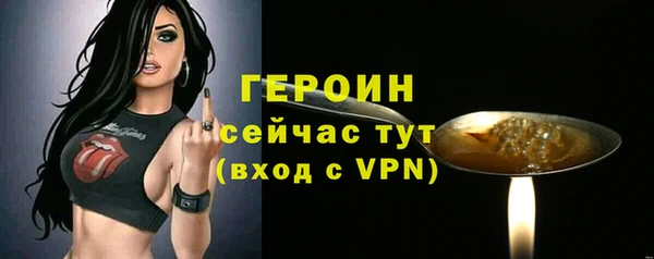 гашик Новодвинск