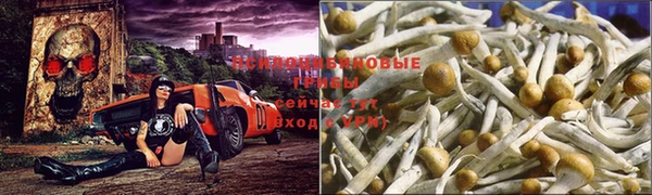 мдма Новокубанск