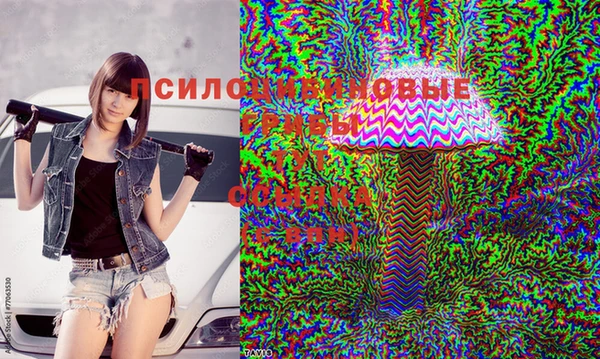 мефедрон Новозыбков