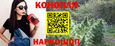 СК Донецк