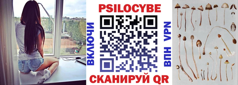 что такое наркотик  Кашира  ОМГ ОМГ   Галлюциногенные грибы мицелий 